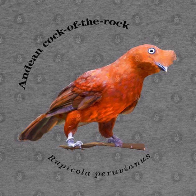 Andean cock-of-the-rock tropical bird pin black text by Ornamentum